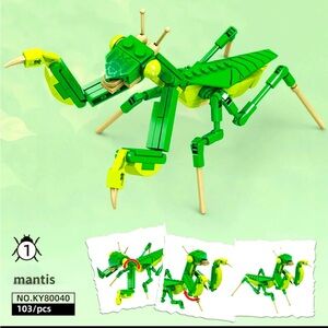 Mantis Insect Series Collection